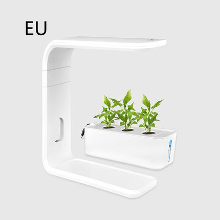 E Indoor Plant Planter Vegetable Planter Home Office Hydroponic Smart - Hot&General Store